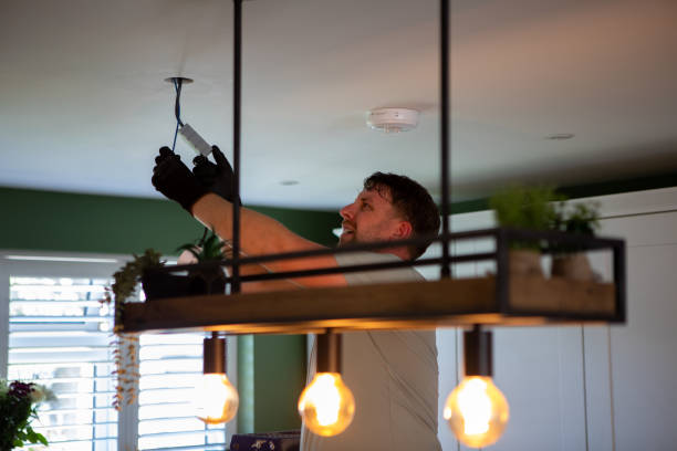 Best Electrician for Home Renovation  in Corcoran, MN